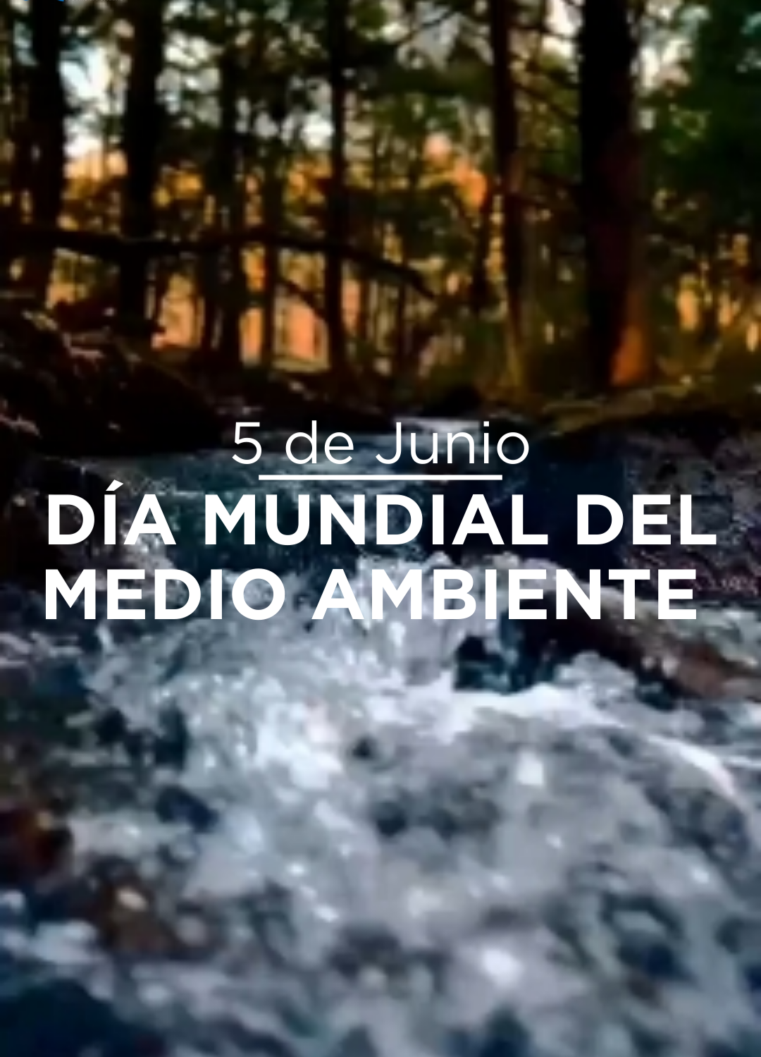 Día Mundial del Medio Ambiente