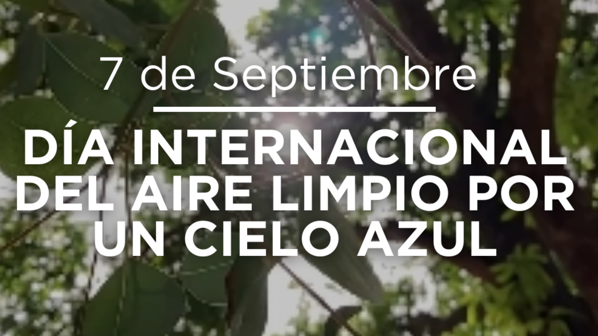 Dia Internacional del Aire Limpio por un Cielo Azul