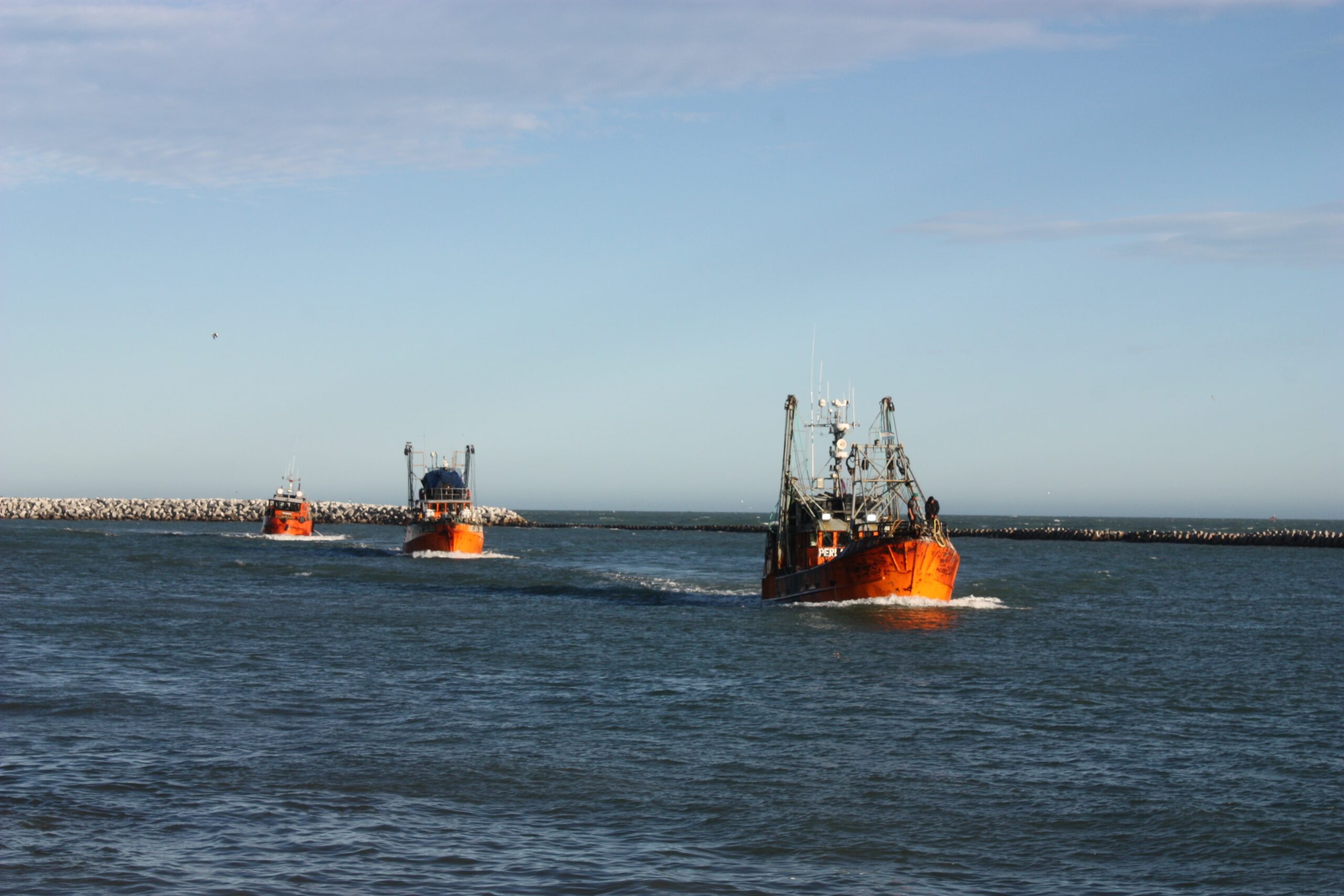 Temporada de Pesca – Barco Calabria